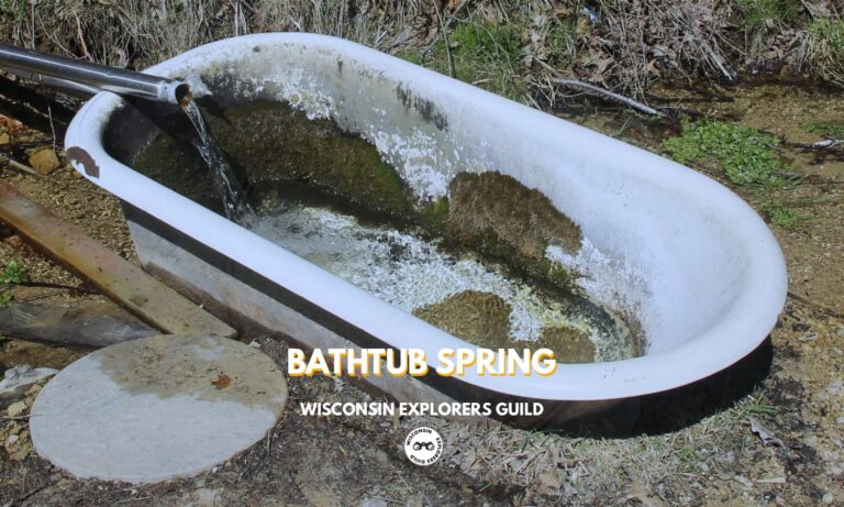 Read more about the article Bathtub Spring