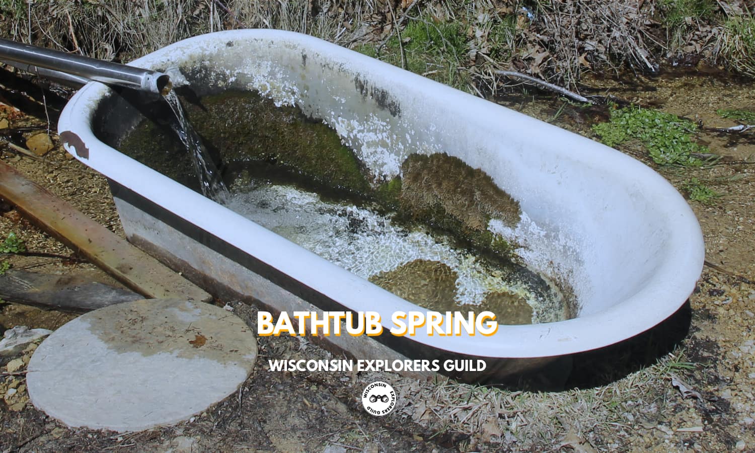 Read more about the article Bathtub Spring